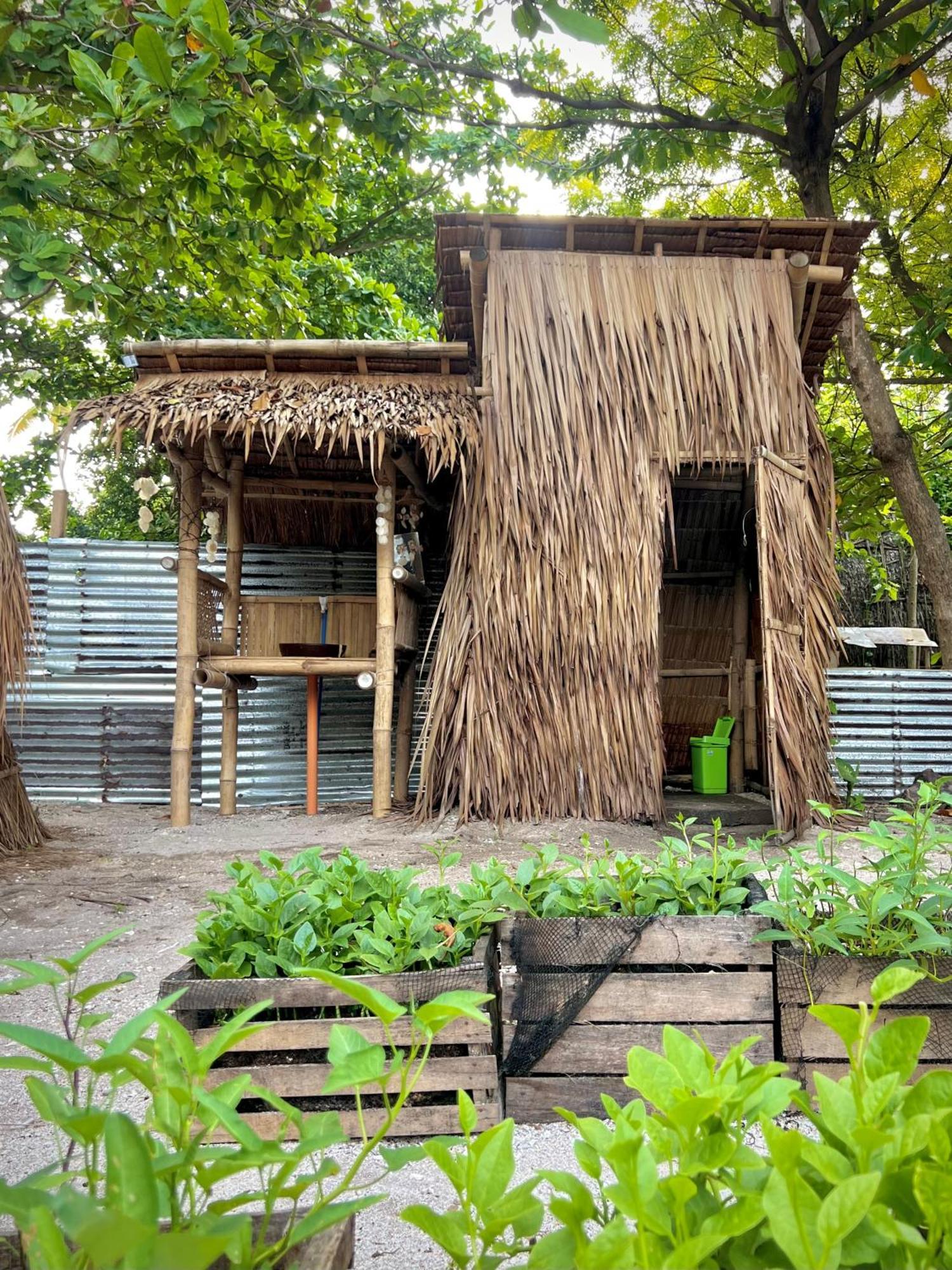 Tribal Huts Community Hostel Daanbantayan ห้อง รูปภาพ